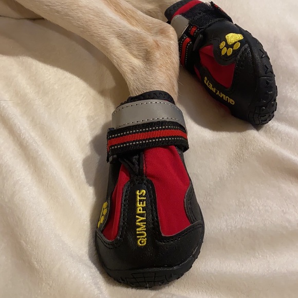 Doggie shoes- size 5 with rubber soles - Picture 2 of 15